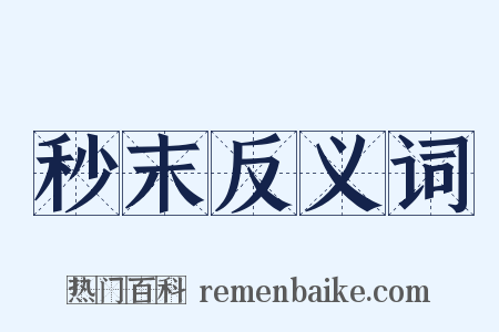 秒末反义词是什么意思的图片